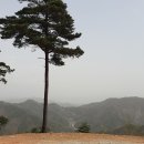 월명천 이미지