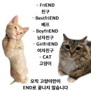 대박이네 이미지
