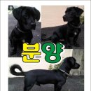 오삼삼칠 이미지