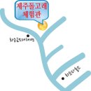 기사＞ 제주돌고래체험관 이미지