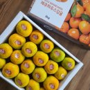 하리네 하우스 이미지