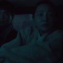 선자 농장 이미지