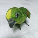 장성농장 이미지