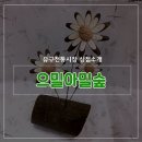 숲문화센터으밀아밀숲 이미지