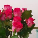 미팅 | 토브헤세드 플라워 | 닉스플로스 미팅 후기