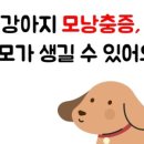 고은약국 이미지
