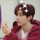 장도낙지 이미지