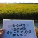 현대농장 이미지