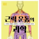 건강체조,요가,난타 이미지