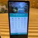 우체국사거리_상 | 제주 서귀포 여행의 숨은 보석, we호텔에서 느낀 진짜 휴식