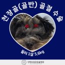 천장골