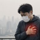 초미세먼지 장기 노출 시, 심장 혈관 막힐 가능성 23%↑...“기준치 이하여도 위험" 이미지