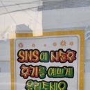 에일린브로우