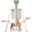 근육 연구소 이미지