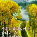 양진로 이미지