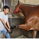 동남부화장 네이버블로그