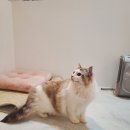 복희미용실