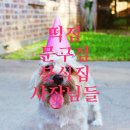 니캉내캉칼국수집 이미지