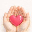 (주)드래곤관광 이미지