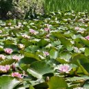 소더스111 이미지