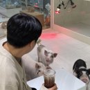 (주)까치앤까치 이미지