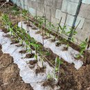 상준농장 이미지