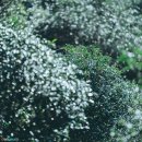 상효동-1 이미지