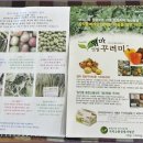 엄마사업단밥상
