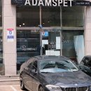 내동애견 이미지