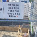 노리터349 부산점 | 부산 아이랑 갈만한 곳 노리터349 부산 봄시즌 후기