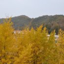 양지1리 이미지