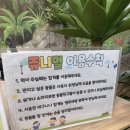 주니멀 | 청주 주니멀 동물원 방문 후기｜아이와 가기 좋은 실내 동물 체험 공간