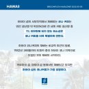 커피하와이