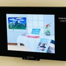 해바라기안경원 이미지