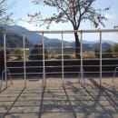 현성초등학교 이미지