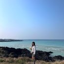 국내 3월 제주도 여행 준비. 비행기, 렌트카, 숙소 예약 총 비용후기