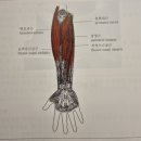 건국동행정복지센터 이미지