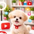 유튜브 콘텐츠 제작(심화) | 광주유튜브학원선택가이드 숏폼 , 롱폼 실무 위주수익창출까지 모든것