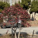 은빛경로당 | 부산 낮은등산코스 간비오산봉수대 등산후기