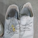 화성명품세탁 이미지