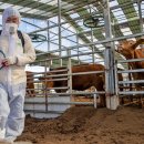 박영주농장 이미지