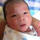 동하태권도 이미지