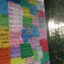 보림공사