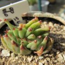 동운슈퍼 이미지