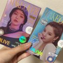 홀리브 | 렌즈미 메이크오버 홀리브 (그레이,브라운) 후기