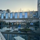 전통황실양고기 이미지