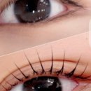 진영5호 이미지