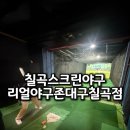 (주)스크린야구왕 | 칠곡스크린야구 실내 칠곡데이트 추천 리얼야구존 대구칠곡점