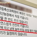 자연맛닭