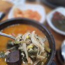 쌍둥이음식점 | 남양주 마석 다시 찾은 마석 해장국 맛집 '쌍둥이 해장국'내돈내산 후기